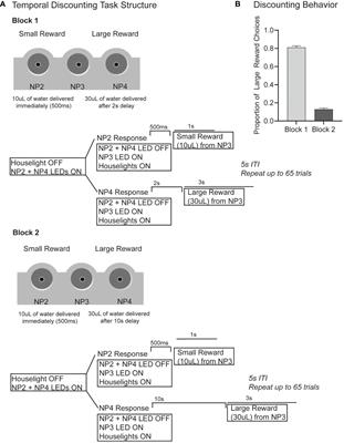 Methylphenidate, but not citalopram, decreases impulsive choice in rats performing a temporal discounting task